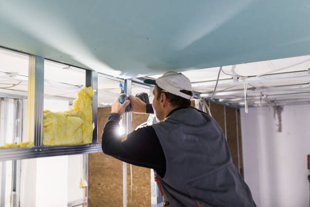 Best Commercial Insulation in Holly Hills, CO