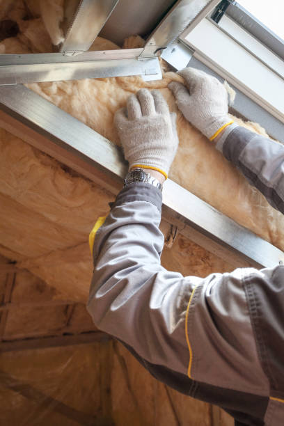 Best Specialty Insulation in Holly Hills, CO