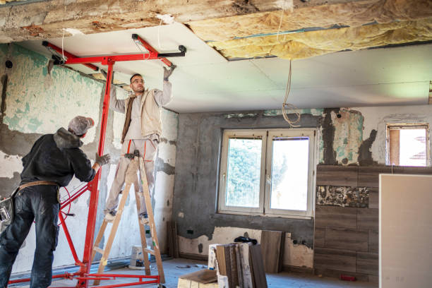 Best Insulation Installation Services in Holly Hills, CO