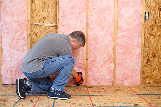 Best Types of Insulation in Holly Hills, CO